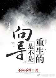 向导是不是重生的不间不界百度云