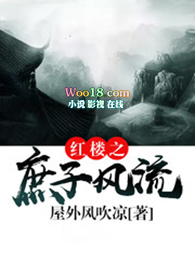 红楼之庶子奋斗史