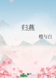 归燕青衣书评